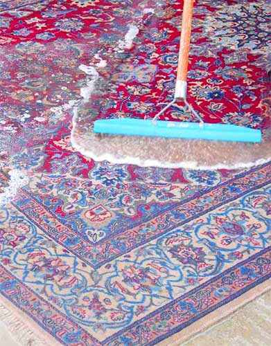 Oriental rug cleaning with immersive wet process